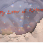 My litter of Kittens