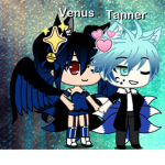 WolfGangTeam