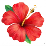 .Paradise Group Thumbnail