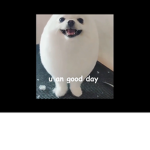 Bunny nation (Fnaf)