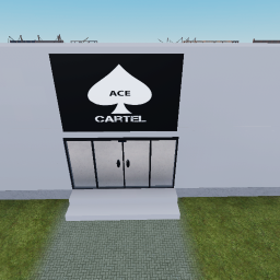 Ace Cartel Training.