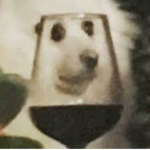 Surprise oof