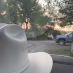 CachasdePantera