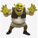 cute shrek clothing