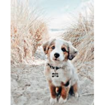 Hiiiiii I’m sunshine