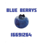 BLUEBERRY GANGG