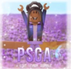 Dazzling stars group (PSGA)
