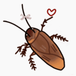 Sra9 Zit Community