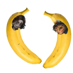 The Bannana Team