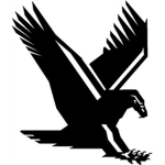 Black Falcon Squadron