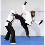 Karate's Spirit