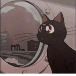 K!tty Kat