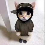 abraham robux funds
