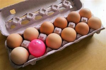 eggs are super duper cool