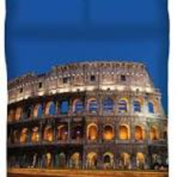 The Colosseum