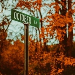୨🎃୧