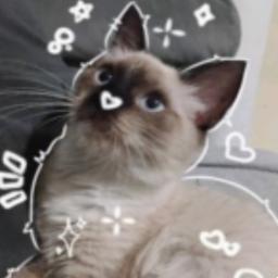 𐙚°⋆.˚