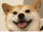 DogeGroupIsDaBest