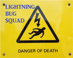 Lightning Bug Squad