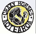 Crazy Horses (New Zealand)