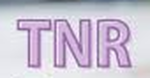 T.N.R..