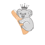 #TeamKoalä
