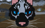 MoonClan23
