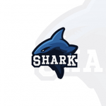 TEH SHARK SQUAD!