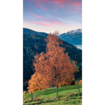 Siam's Group