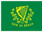 Ireland's mercenary forces