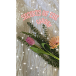 secrets of the garden