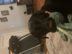 Super fan of CookieSwirlC