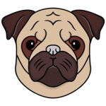 Pug Space Facility