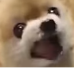 e2tk