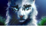 |~ Night Clan ~|