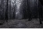 —Dark group—