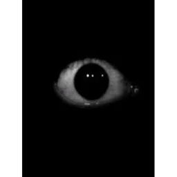t̸h̶e̷ ̷e̶n̶d̸ ̶i̵s̶ ̸n̴e̵a̶r̴.̷ icon