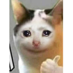 Cat is poor
