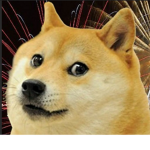 DOGEnMEMES