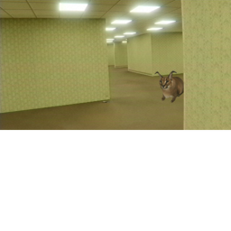 Floppa In The Backrooms