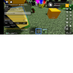 The pro bedwars group