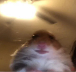 THE HAMSTER ARMY