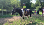 Horse training