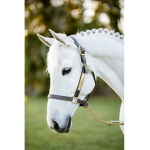 English riding academy
