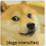 WE LOVE DOGE SO MUCH