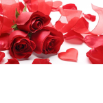 Royal Roses