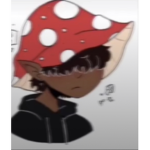 جيش المناوب