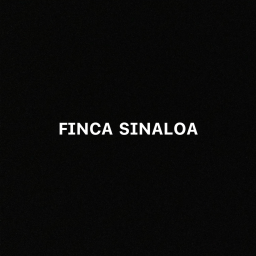 🎙️Finca Sinaloa
