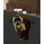 Monkey Owner Gang
