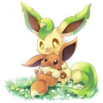 Eevee ##### Fan Group